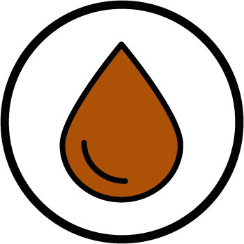 Step Icon