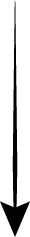 Arrow Icon